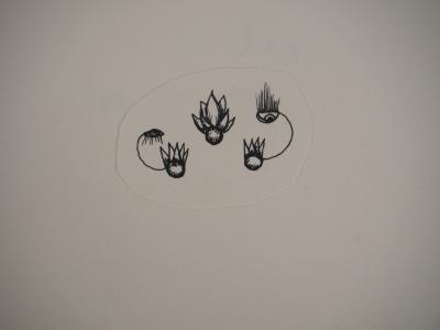 Jean-Claude SILBERMANN : Enseignes sournoises, Des fleurs et un masque, DEUX Dessins originaux signé 2