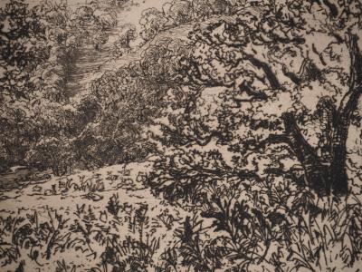 Francis SEYMOUR-HADEN : La Rookery, Gravure originale signée 2