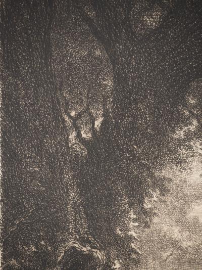Pierre Edmond HÉDOUIN : Silence et nuit des bois, Gravure originale signée 2