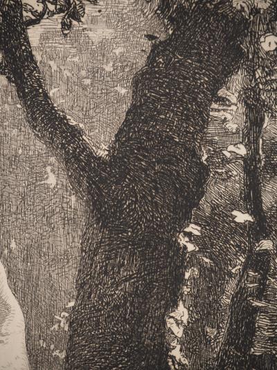 François FEYEN-PERRIN : Symbolisme, Nénuphars, Gravure originale 2