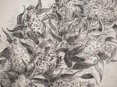 Raymond HAASEN : Chapeau et Glycine, Gravure originale signée 2