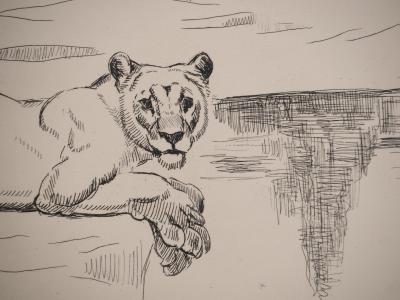 Georges Lucien GUYOT : Couple de Lions, Gravure originale signée 2
