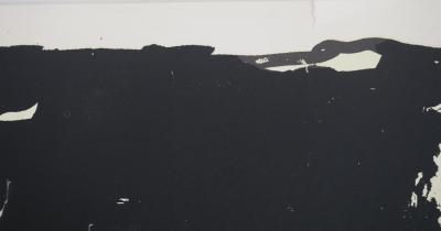 Pierre ALECHINSKY : Forêt noire, Affiche en lithographie originale 2