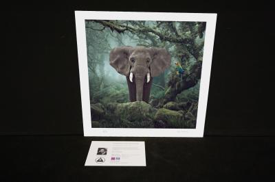 Burnell Primary Forest - 2024 - Mr Strange - Giclée sur papier Hanhemühle 2