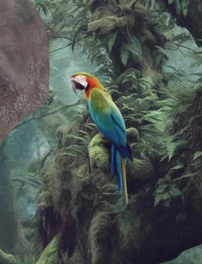 Burnell Primary Forest - 2024 - Mr Strange - Giclée sur papier Hanhemühle 2