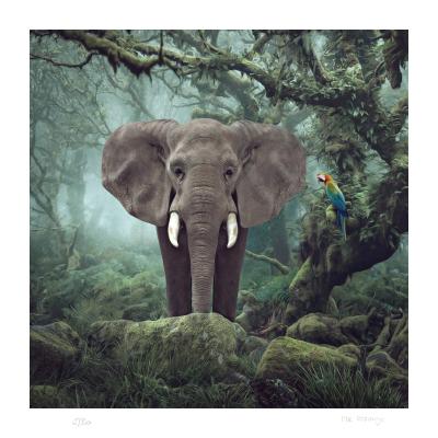 Burnell Primary Forest - 2024 - Mr Strange - Giclée sur papier Hanhemühle 2
