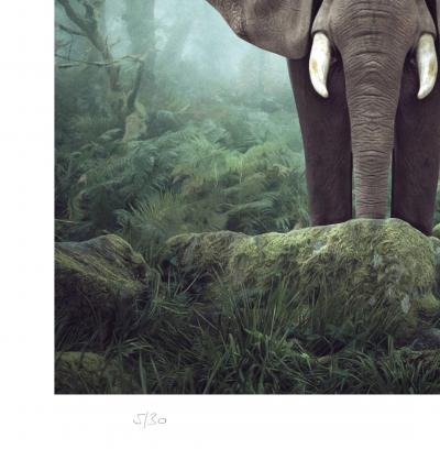 Burnell Primary Forest - 2024 - Mr Strange - Giclée sur papier Hanhemühle 2