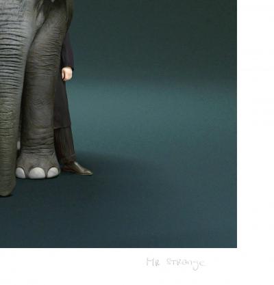 The Tamer - 2024 - Mr Strange - Giclée sur papier Hanhemühle 2