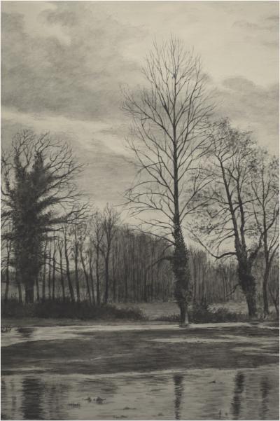 Aymar de LÉZARDIÈRE - École française, Seconde moitié du XXème siècle, Importante encre sur papier figurant une forêt, Signée 2