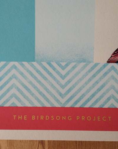 Shepard FAIREY (Obey) - Birdsong Project 2022 Shepard Fairey, Sérigraphie signée et numérotée 2