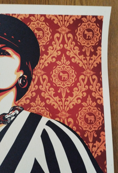Shepard Fairey - These Parties Disgust Me 2010 Shepard Fairey - 2
