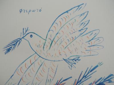 Alekos FASSIANOS : Colombe de la Paix, Lithographie signée 2