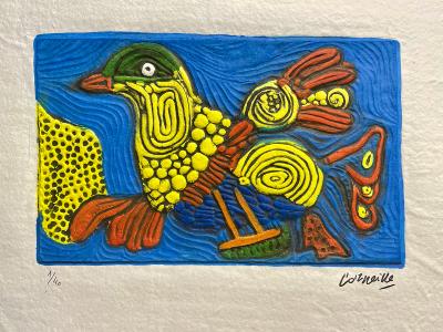 Corneille, - L’oiseau multicolore, 2022 - Aquagravure