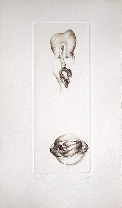 Fred DEUX - Gris 3, 1978, Gravure 2