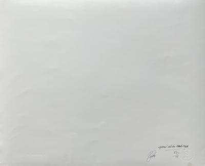 Roberto SALAS - Che GUEVARA - Silver print, signed 2