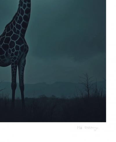 African moon - Mr Strange - 2024 - Giclée sur papier Hanhemühle 2