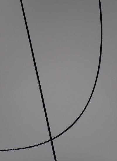 Hans Hartung (d’après) - Courbes - Lithographie offset