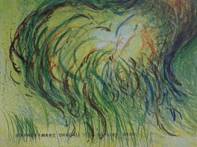 Marc CHAGALL: The Magic Flute, ORIGINAL vintage POSTER #Metropolitan Opera New York - Mozart 2