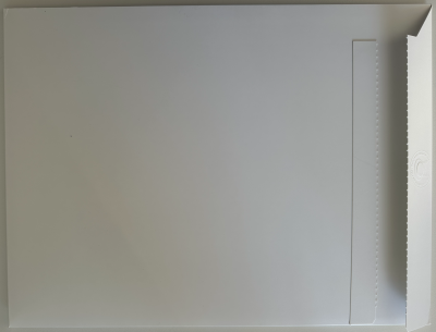 Pierre SOULAGES et Philippe GELUCK  - Panne de courant au musée Soulages - Sérigraphie signée 2