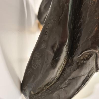 Romain TIERCIN - Au bout de soi, 2024, Bronze 2