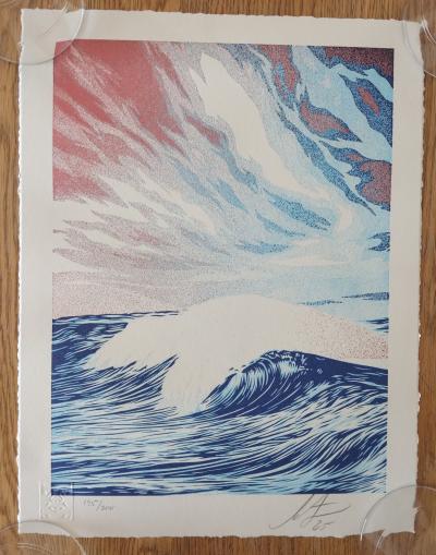 Shepard FAIREY (Obey) - Force Of Nature (Letterpress) 2025 2