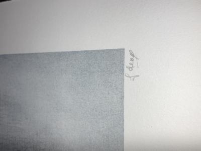Fred Deux - La vingtième racine cosmique, 1996, Sérigraphie 2