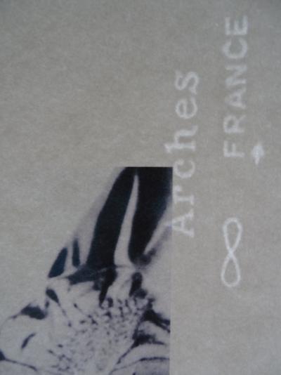 Man Ray (d’après) - Dora Maar - Héliogravure 2