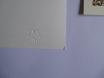 Raul Corrales - Révolution cubaine, photographie 2