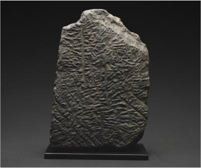 Inde, Dynastie Pala-Sena, Xème-XIIème siècle, Fragment de stèle en pierre représentant Bouddha 2