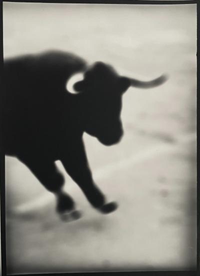 Thierry Valencin - Camargue Arles 2004 - Tirage argentique 2