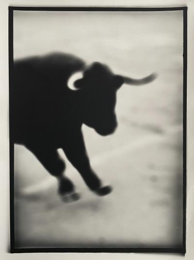 Thierry Valencin - Camargue Arles 2004 - Tirage argentique 2