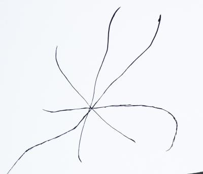 Joan MIRO : Jardin espagnol à l’étoile - Sérigraphie signée 2