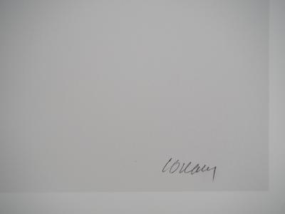 Pierre SOULAGES : Sérigraphie n°18 - Affiche originale signée Musée Soulages 2