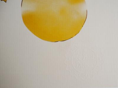 Antoine DE SAINT-EXUPERY : L’envol du Petit Prince et des oiseaux - Lithographie 2