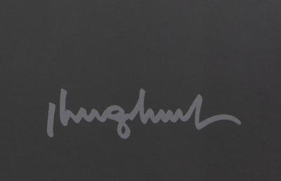 Philippe GELUCK : Le chat au Musée Soulages - Affiche originale signée 2