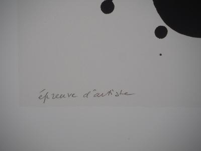 Pierre SOULAGES : Lithographie n°29 - Affiche originale signée Musée Soulages 2