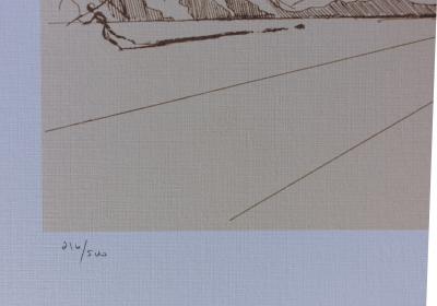 Salvador DALI (d’après) : Don Quichotte, Lithographie signée, 500ex 2