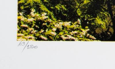 JR : No Trespassing, 2021 - Lithographie originale signée 2