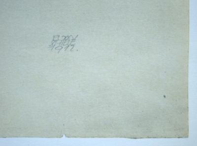 Egon SCHIELE (d'après), Weiblicher Akt mit violetten Strümpfen, 1968 - Collotypie signée et datée 2