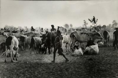 José Nicolas - Young Hadjeray, Chad, 1980 - Silver print 2