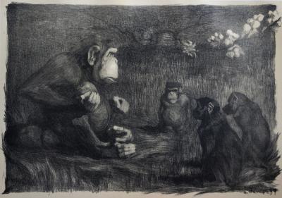 Paul JOUVE - Les singes : le jugement de Paris, Lithographie originale  signée (1897) 2