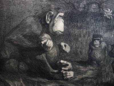Paul JOUVE - Les singes : le jugement de Paris, Lithographie originale  signée (1897) 2