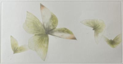 Mikio WATANABE - 