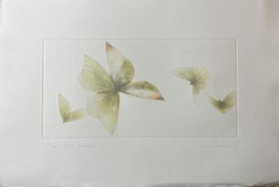 Mikio WATANABE - 