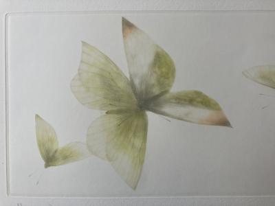 Mikio WATANABE - 