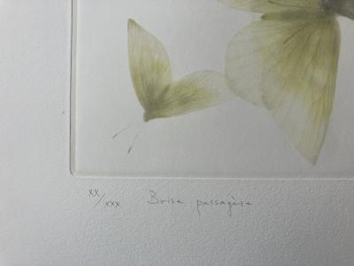 Mikio WATANABE - 