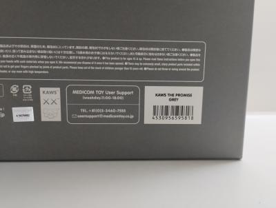 KAWS - KAWS THE PROMISE - Grey 2022 2