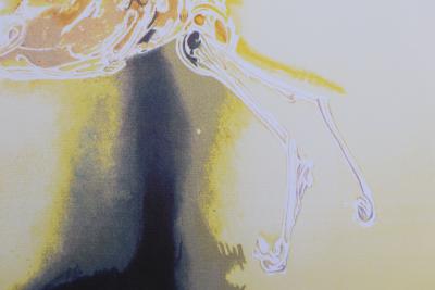 Salvador DALI (after): Pegasus, Signed lithograph, 500 copies 2