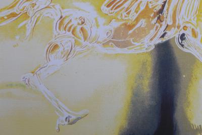 Salvador DALI (after): Pegasus, Signed lithograph, 500 copies 2