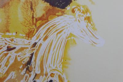 Salvador DALI (after): Pegasus, Signed lithograph, 500 copies 2